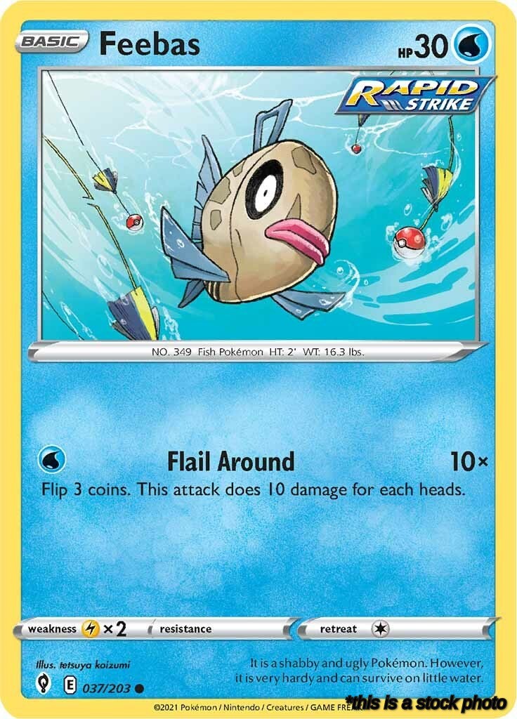 037/203 Feebas Common Normal