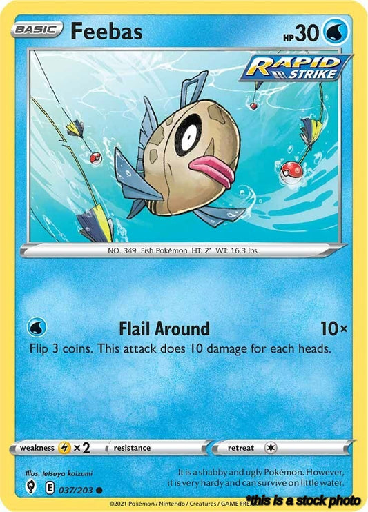 037/203 Feebas Common Normal
