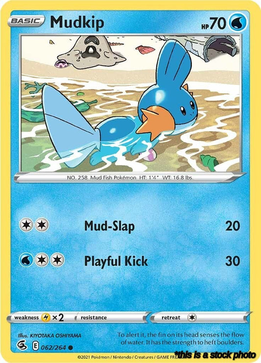 Mudkip