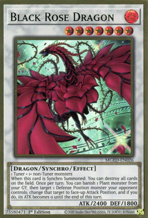 1st Edition Black Rose Dragon (Alternate Art) [MGED-EN026 Near Mint] Premium Gold Rare