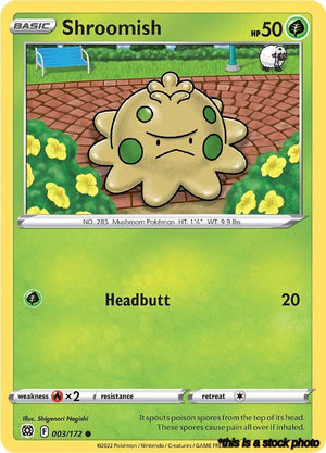 Common Shroomish [003/172 Lightly Played ]