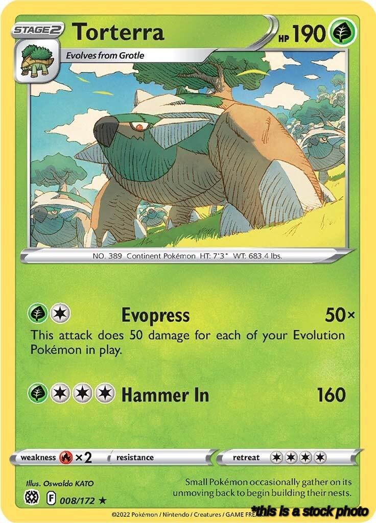008/172 Torterra Holo Rare Holofoil