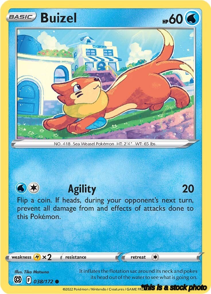 038/172 Buizel Common Normal