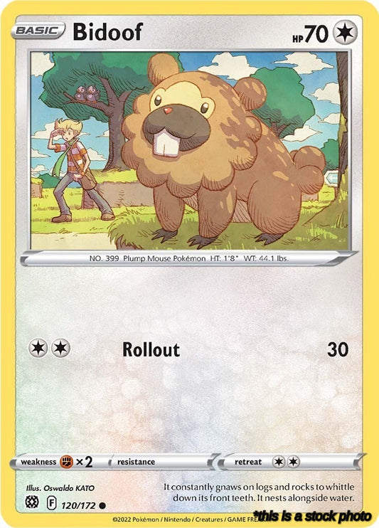 Common Bidoof [120/172 Lightly Played ]