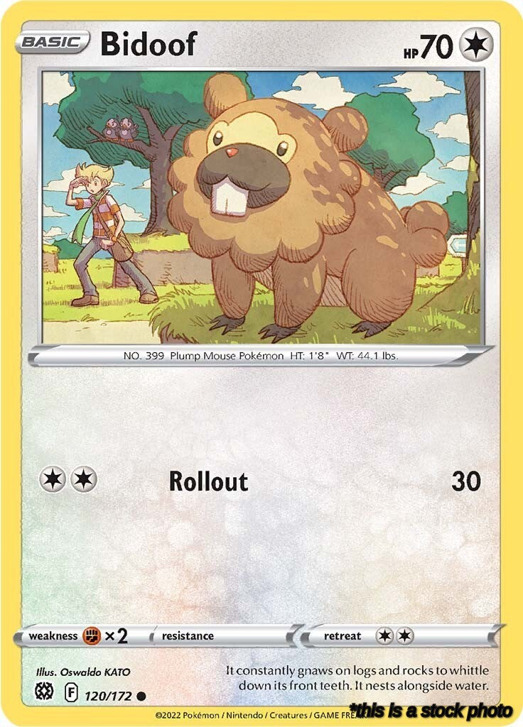 Common Bidoof [120/172 Lightly Played ]