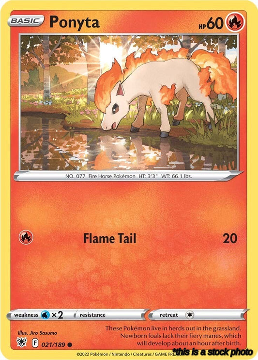 Reverse Holofoil Ponyta [021/189 Lightly Played ]