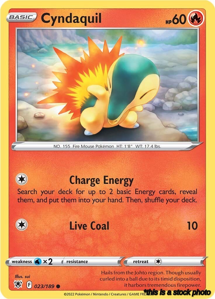 Common Cyndaquil [023/189 Lightly Played ]