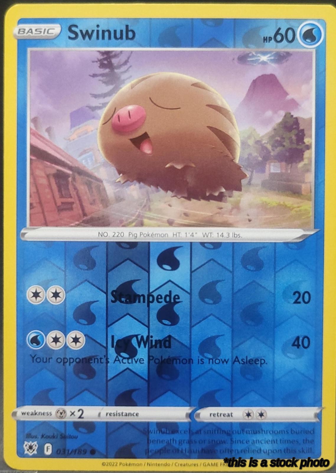031/189 Swinub Common Reverse Holofoil