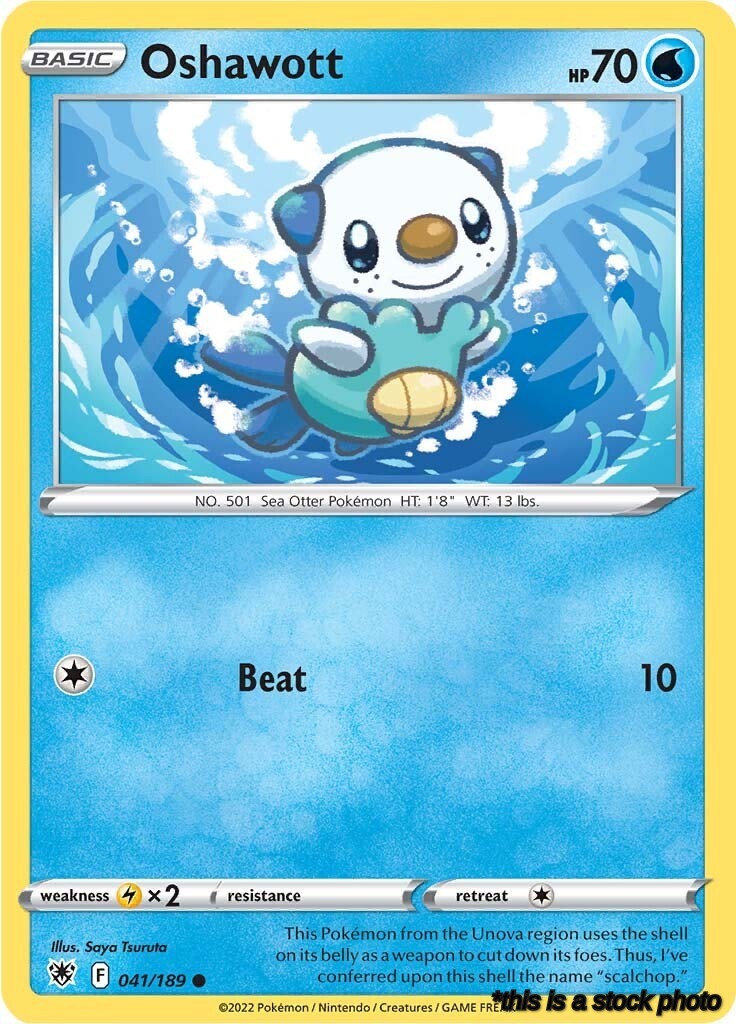 Common Oshawott [041/189 Near Mint ]