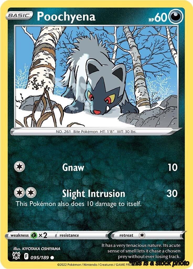 Normal Poochyena [095/189 Near Mint ]