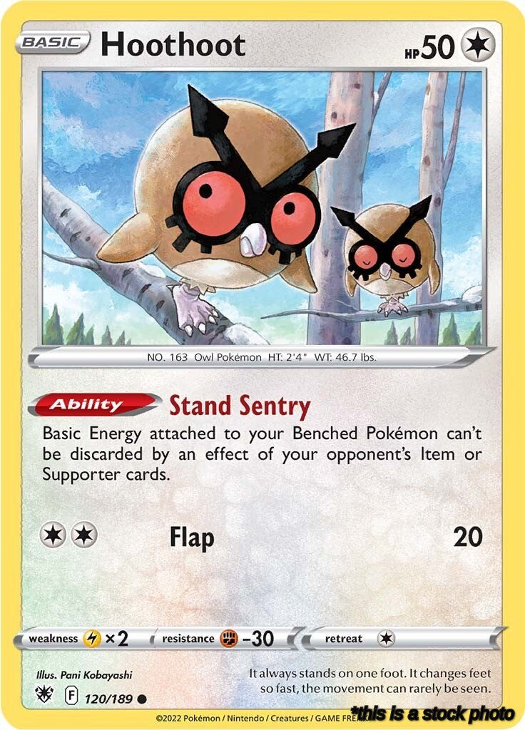 Hoothoot