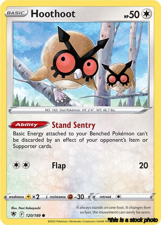 Hoothoot