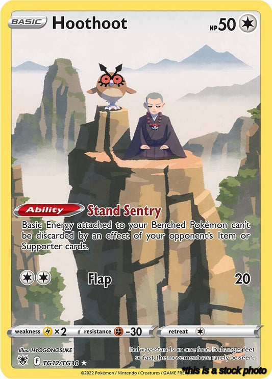Holofoil Hoothoot [TG12/TG30 Heavily Played ]