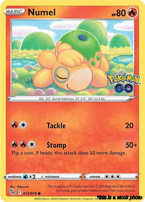 Common Numel [013/078 Lightly Played ]