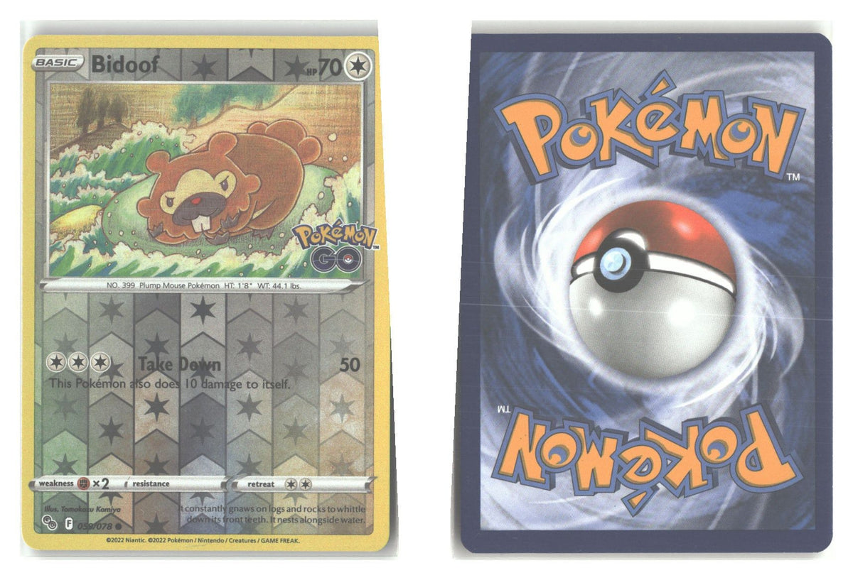 Front + Back scan