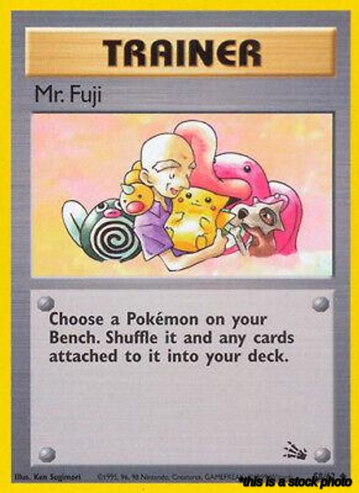 Mr. Fuji