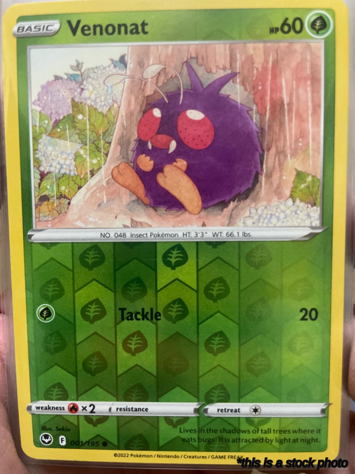 001/195 Venonat Common Reverse Holofoil
