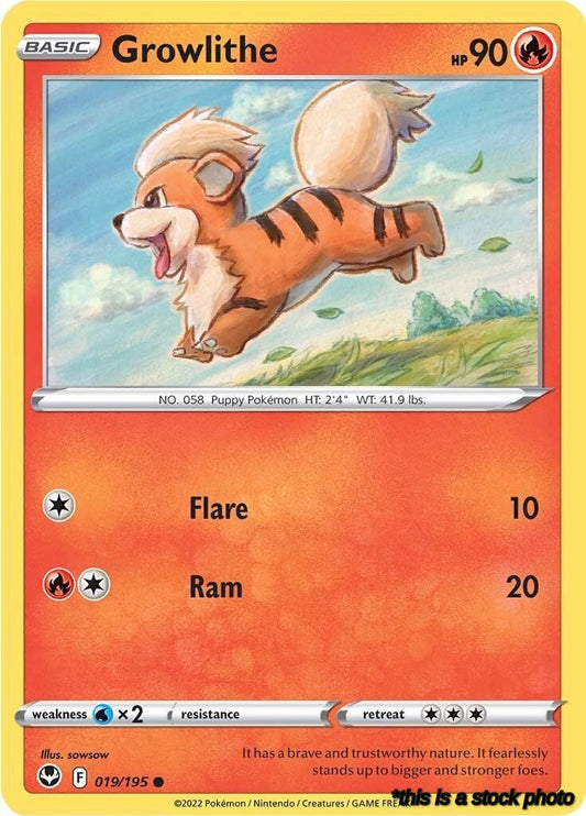 Common Growlithe [019/195 Lightly Played ]