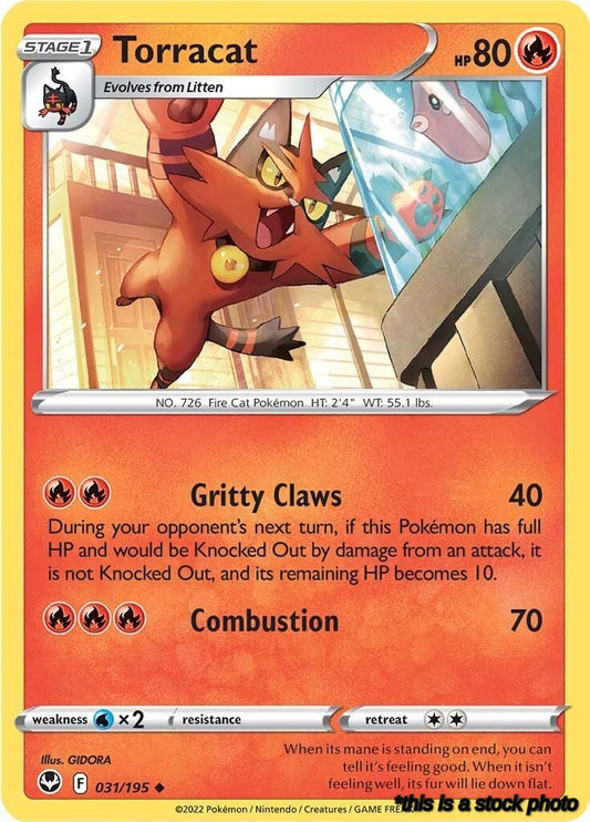 Uncommon Torracat [031/195 Near Mint ]