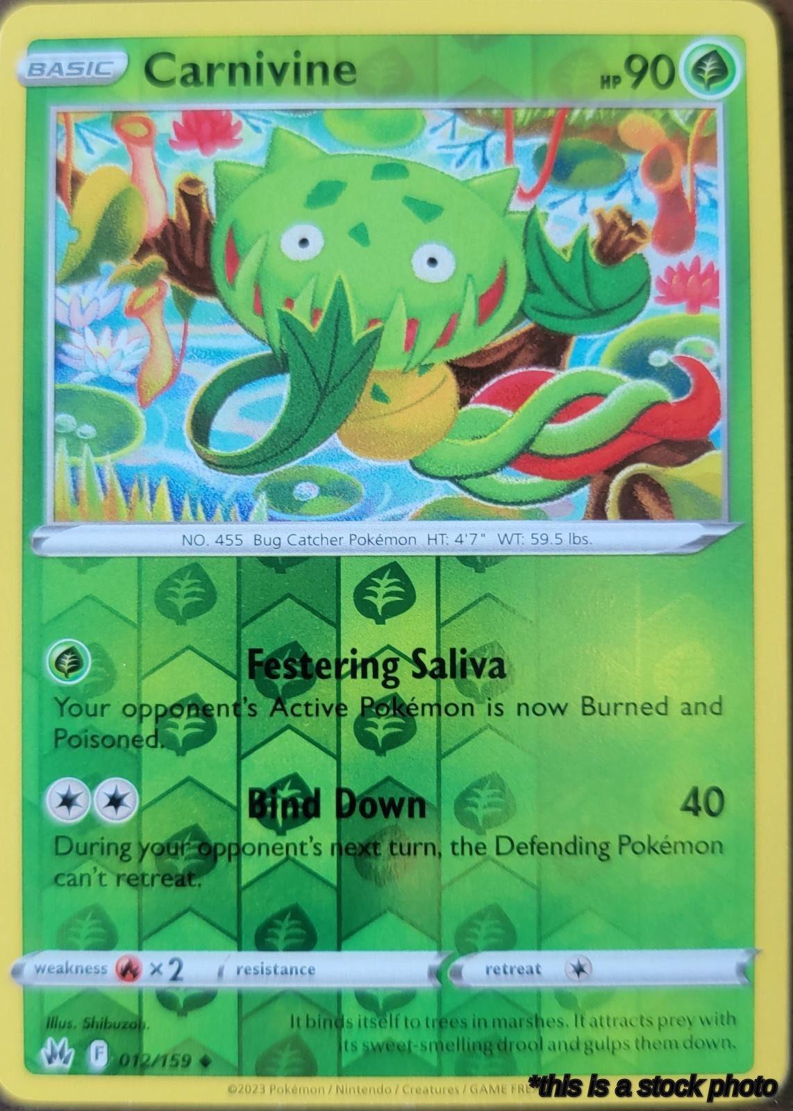 012/159 Carnivine Uncommon Reverse Holofoil