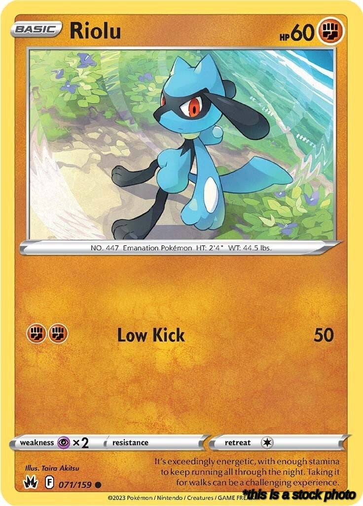 Common Riolu [071/159 Lightly Played ]