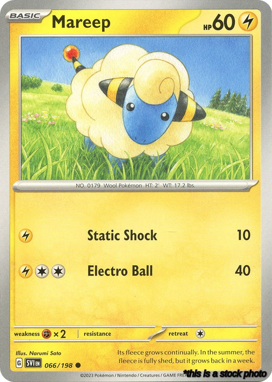Mareep