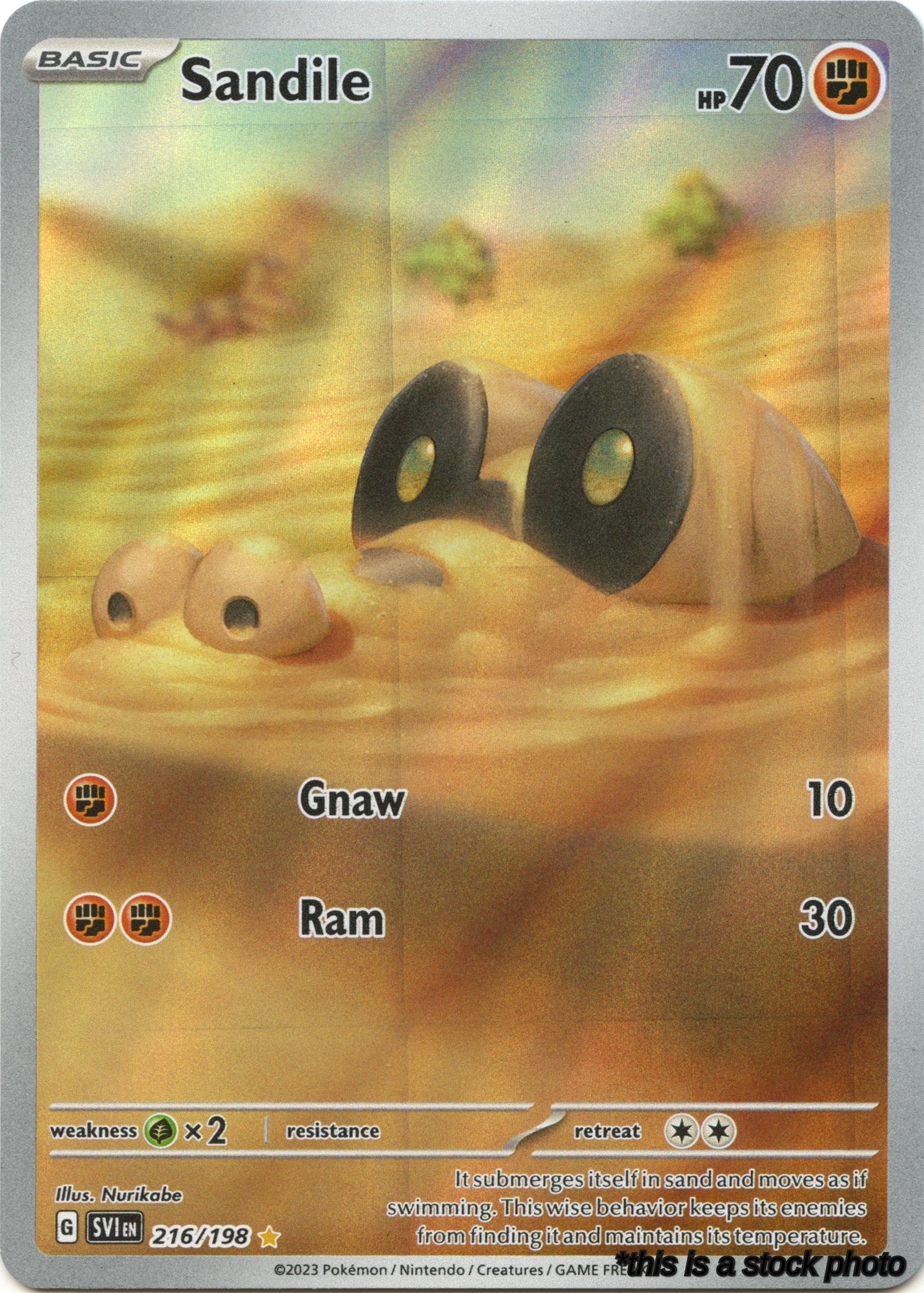 Sandile - 216/198
