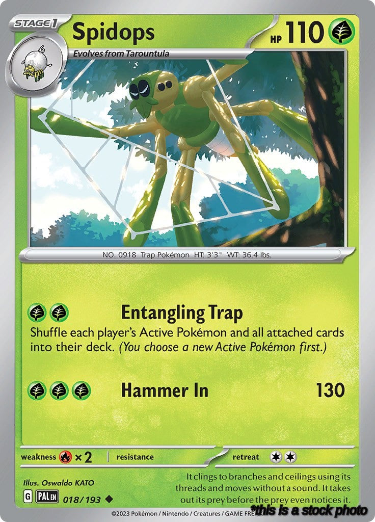Spidops