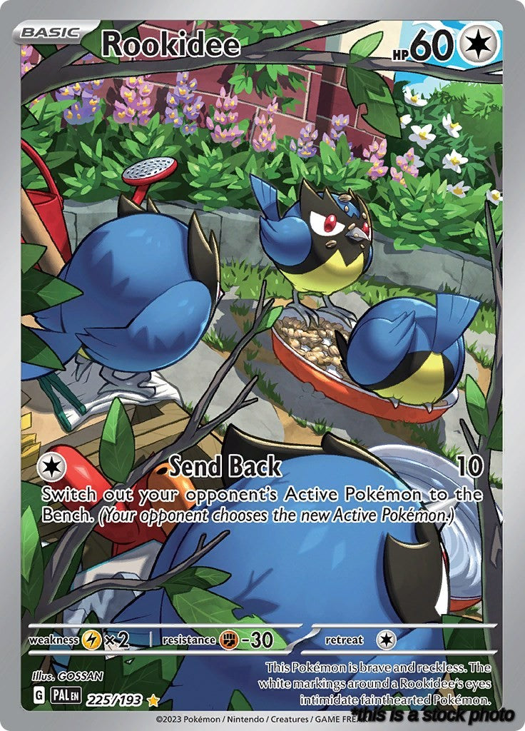 Rookidee - 225/193