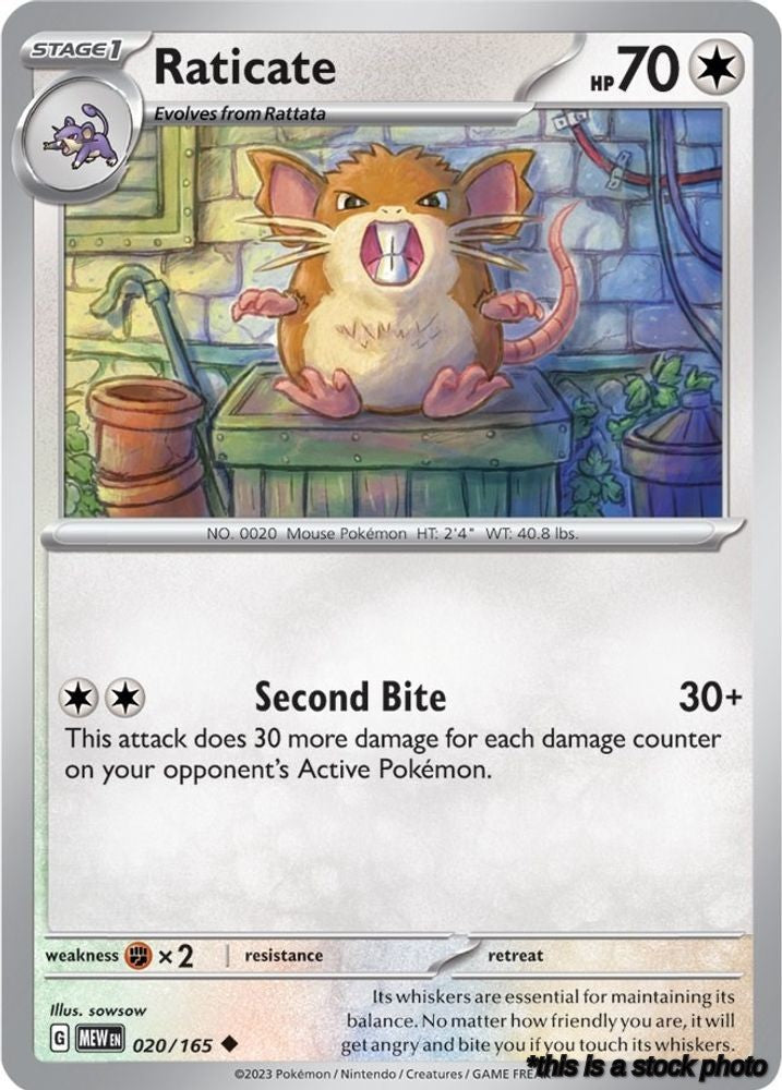 Raticate