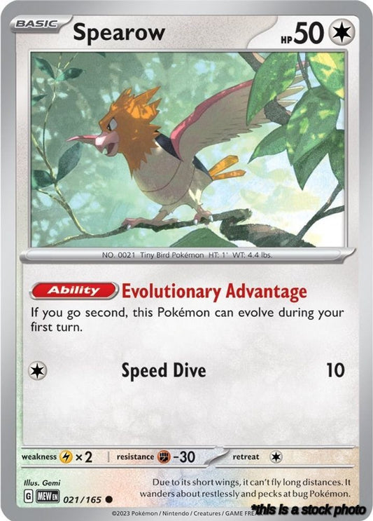 Spearow