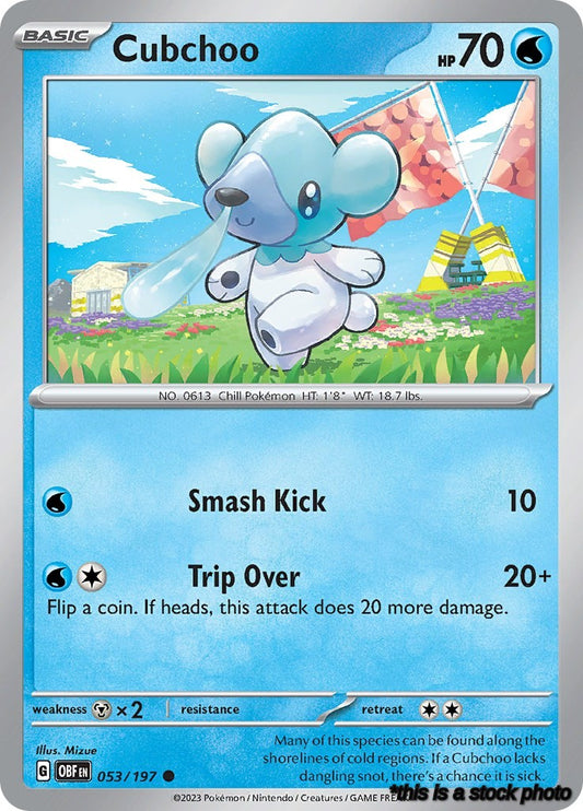 Cubchoo