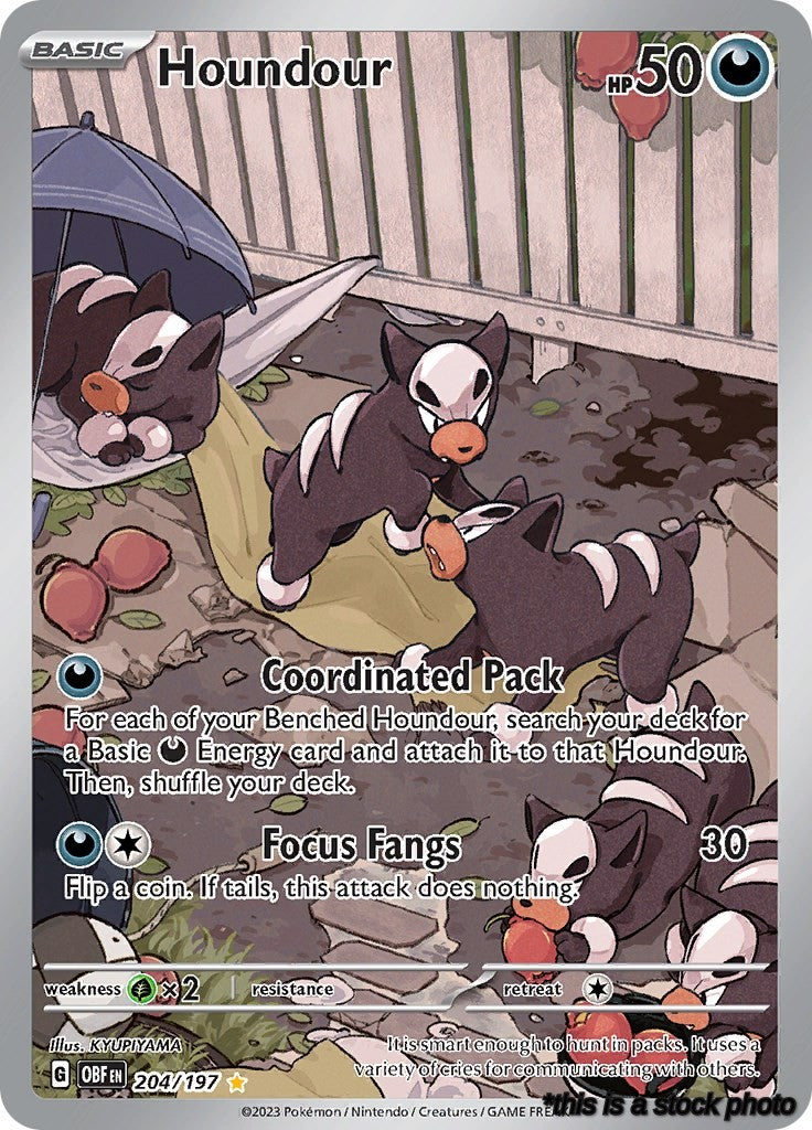 Houndour - 204/197
