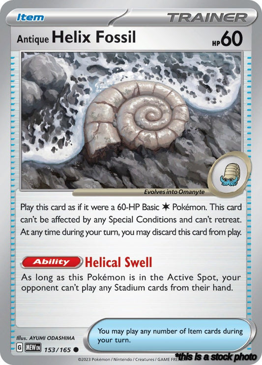 Antique Helix Fossil