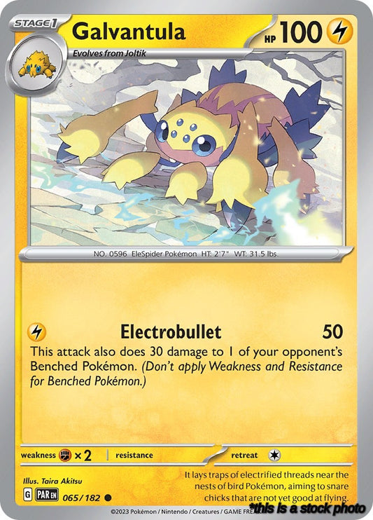 Common Galvantula [065/182 Near Mint ]