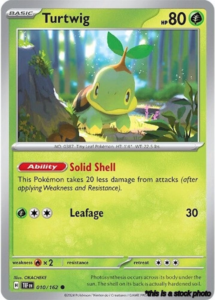 Turtwig