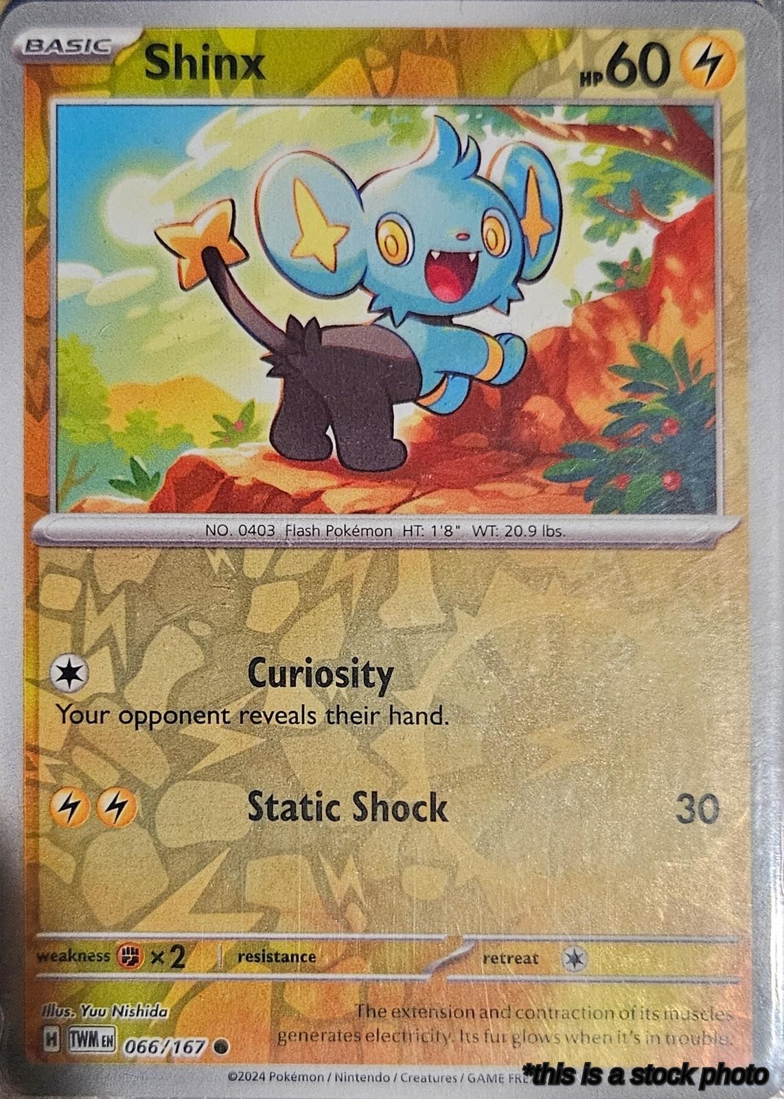 066/167 Shinx Common Reverse Holofoil