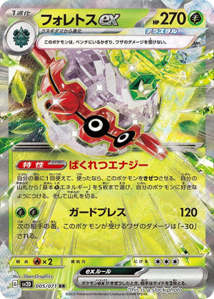 JP Holofoil Near Mint Forretress ex - 005/071 [005/071]