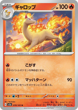JP Near Mint Rapidash [078/165] Uncommon