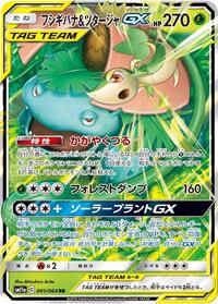 Near Mint Venusaur & Snivy GX - 001/064 [001/064] Double Rare