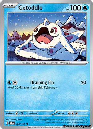 053/191 Cetoddle Common Reverse Holofoil