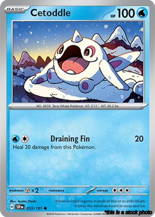 Common Cetoddle [053/191 Near Mint ]