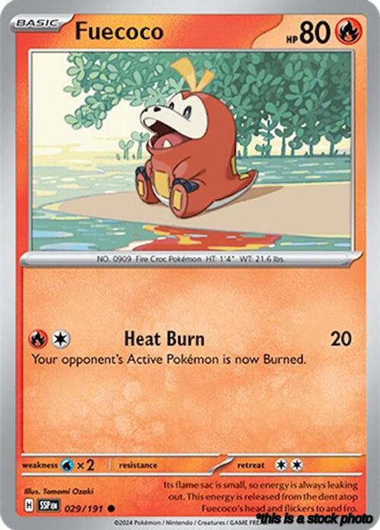 Common Fuecoco [029/191 Near Mint ]