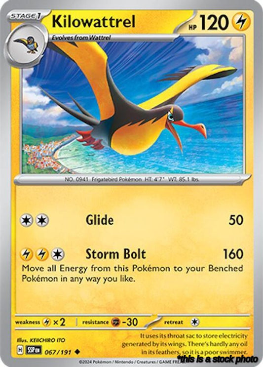 067/191 Kilowattrel Uncommon Normal Lightly Played