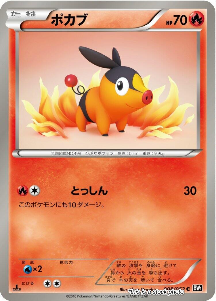 Tepig