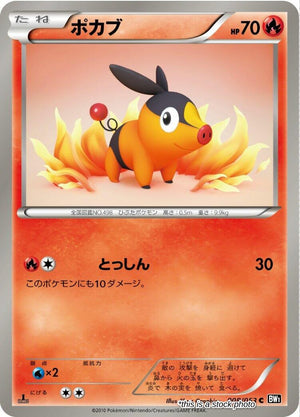 Near Mint Tepig [008/053] Common