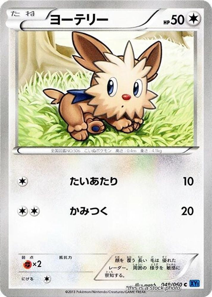 Lillipup