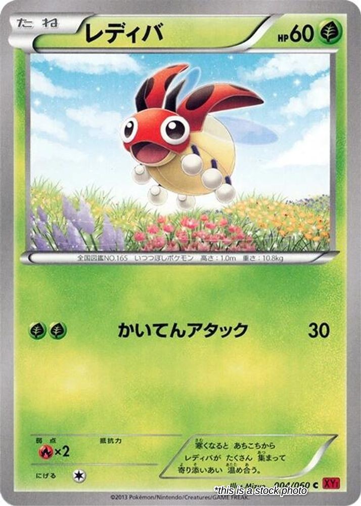 Ledyba