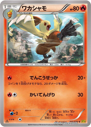Near Mint Combusken [019/070] Common
