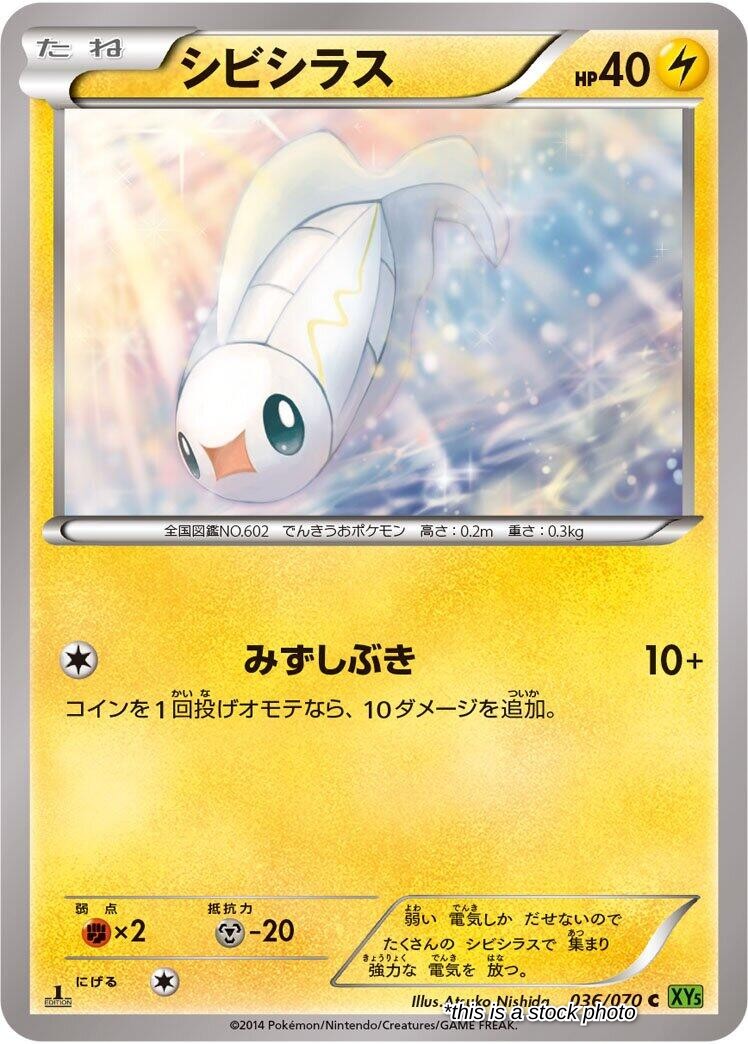 Tynamo